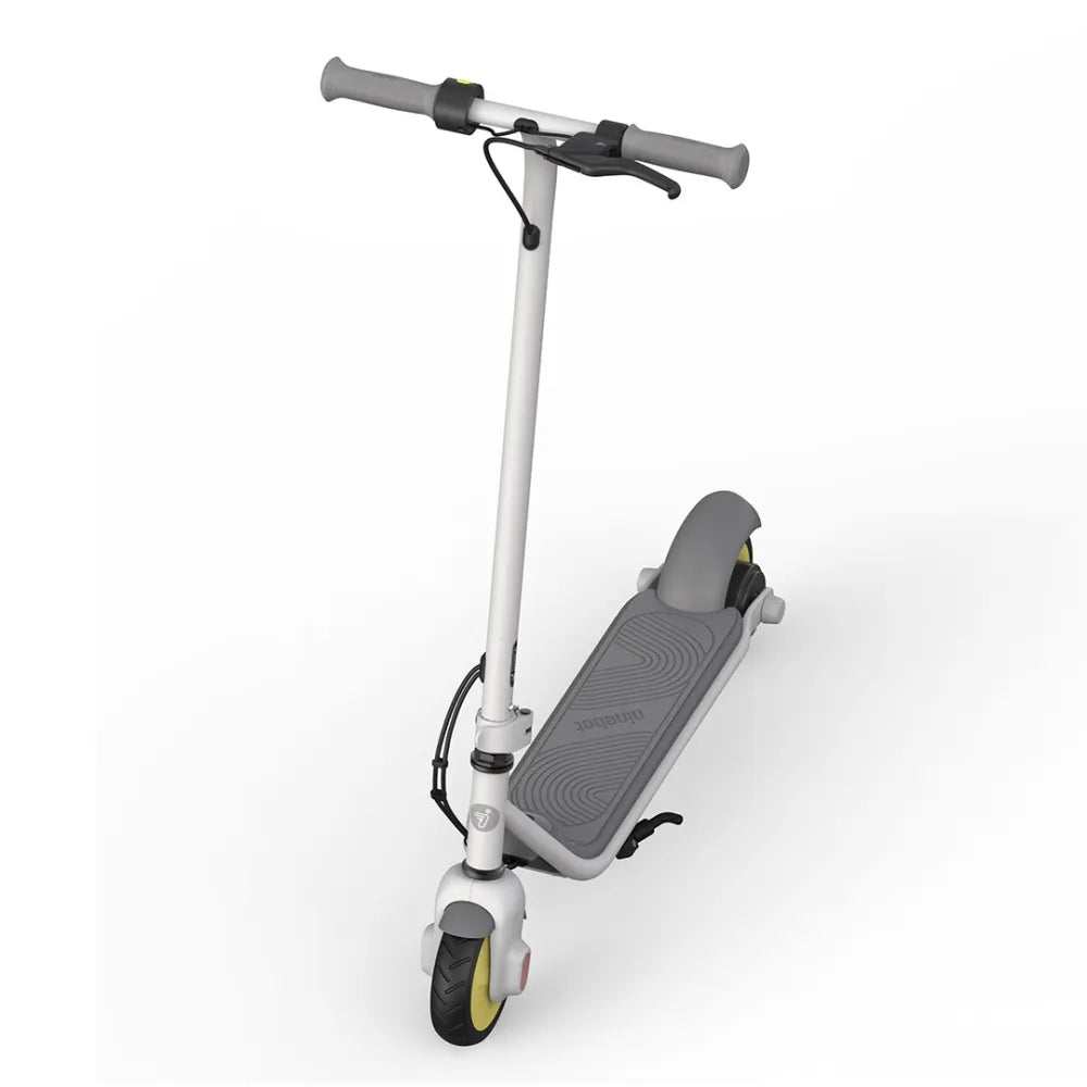 Segway-Ninebot eKickScooter ZING C10